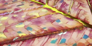 bordado lantejoulas 1